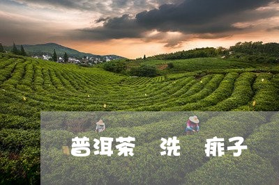 普洱茶 洗 痱子/2023041111603